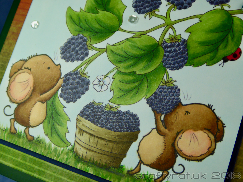 mice-and-blackberries-detail